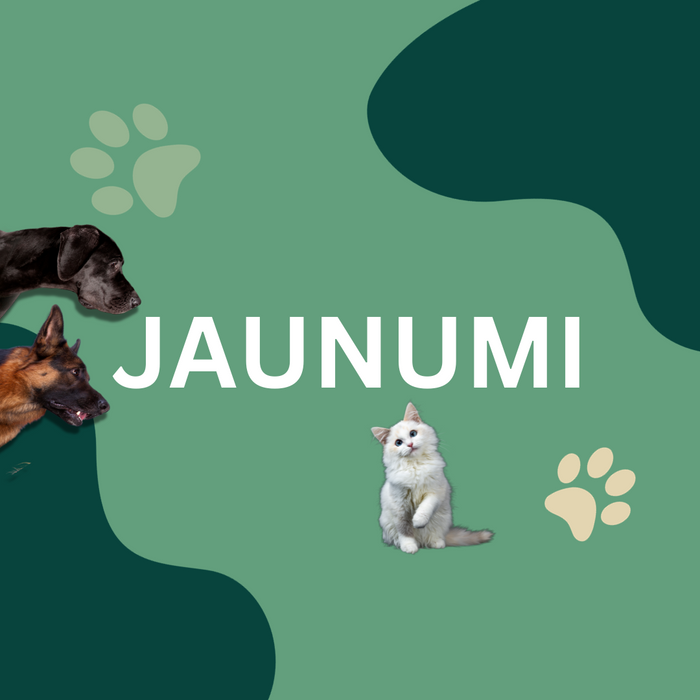 Jaunumi - Zorro.lv