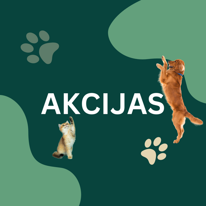 Akcijas - Zorro.lv