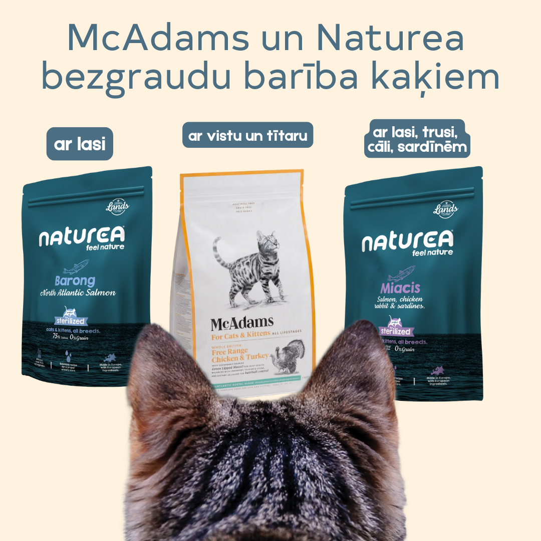 Gardais 3 garšu barības komplekts kaķiem un kaķēniem 350 g