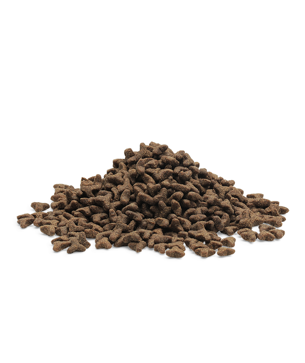 High-quality ESSENTIAL food for kittens THE LITTLE LION