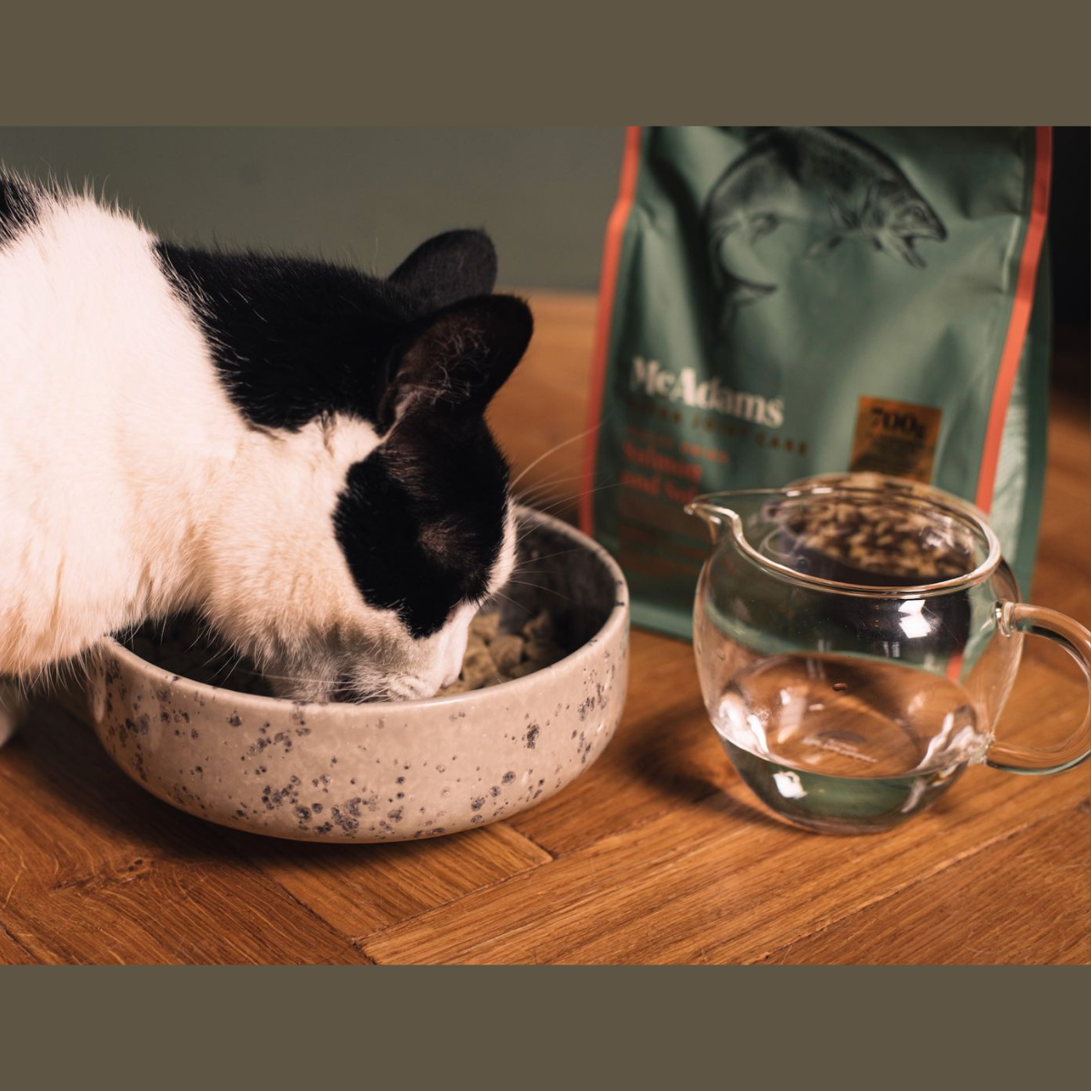 McAdams lyophilized food for adult cats with 80% salmon and Platichthys flesus 200 g
