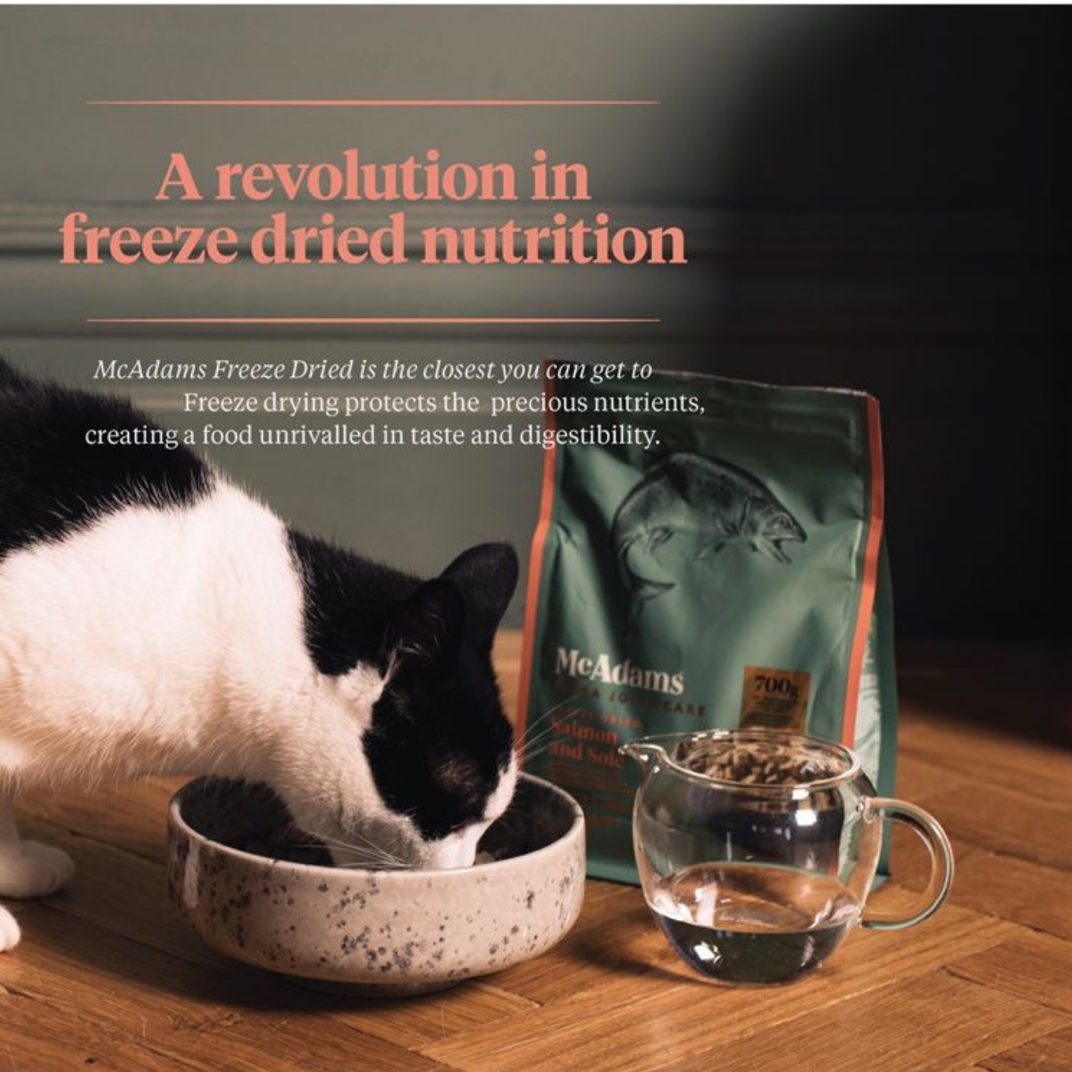 McAdams lyophilized food for adult cats with 80% salmon and Platichthys flesus 200 g