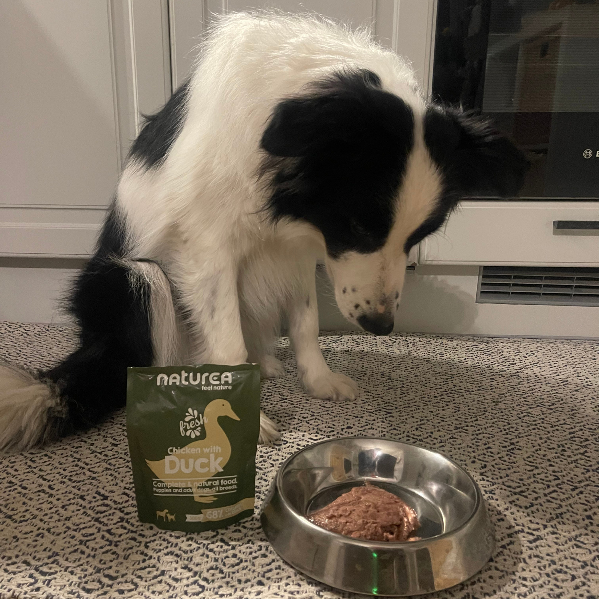 NATUREA canned food for dogs with 66% chicken and duck meat 300 g