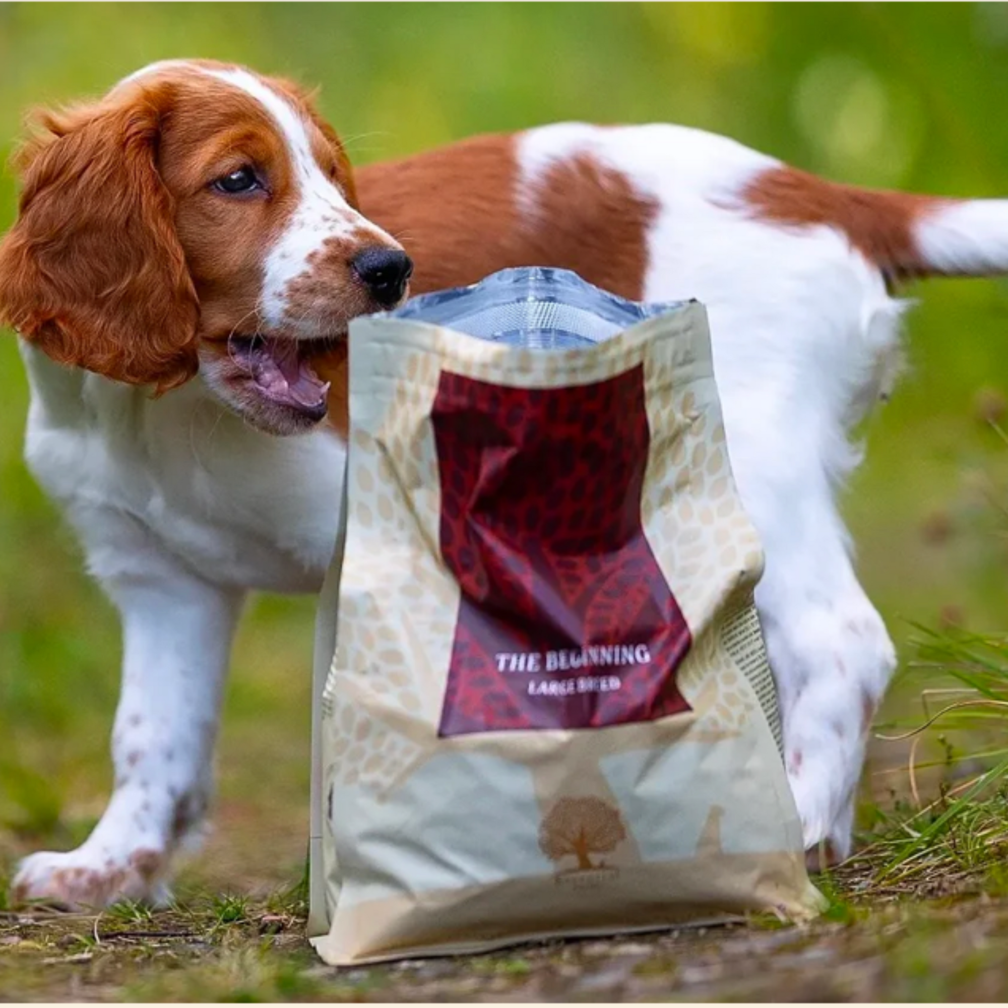 74% meat duck, chicken, salmon, trout, eggs Super premium dairy-free feed for puppies of large breeds The BEGINNING-LARGE BREED