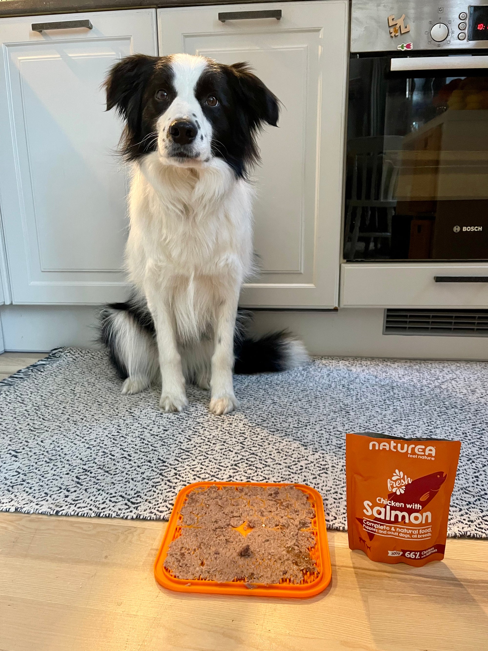 NATUREA canned food for dogs with 66% chicken and turkey meat 300g