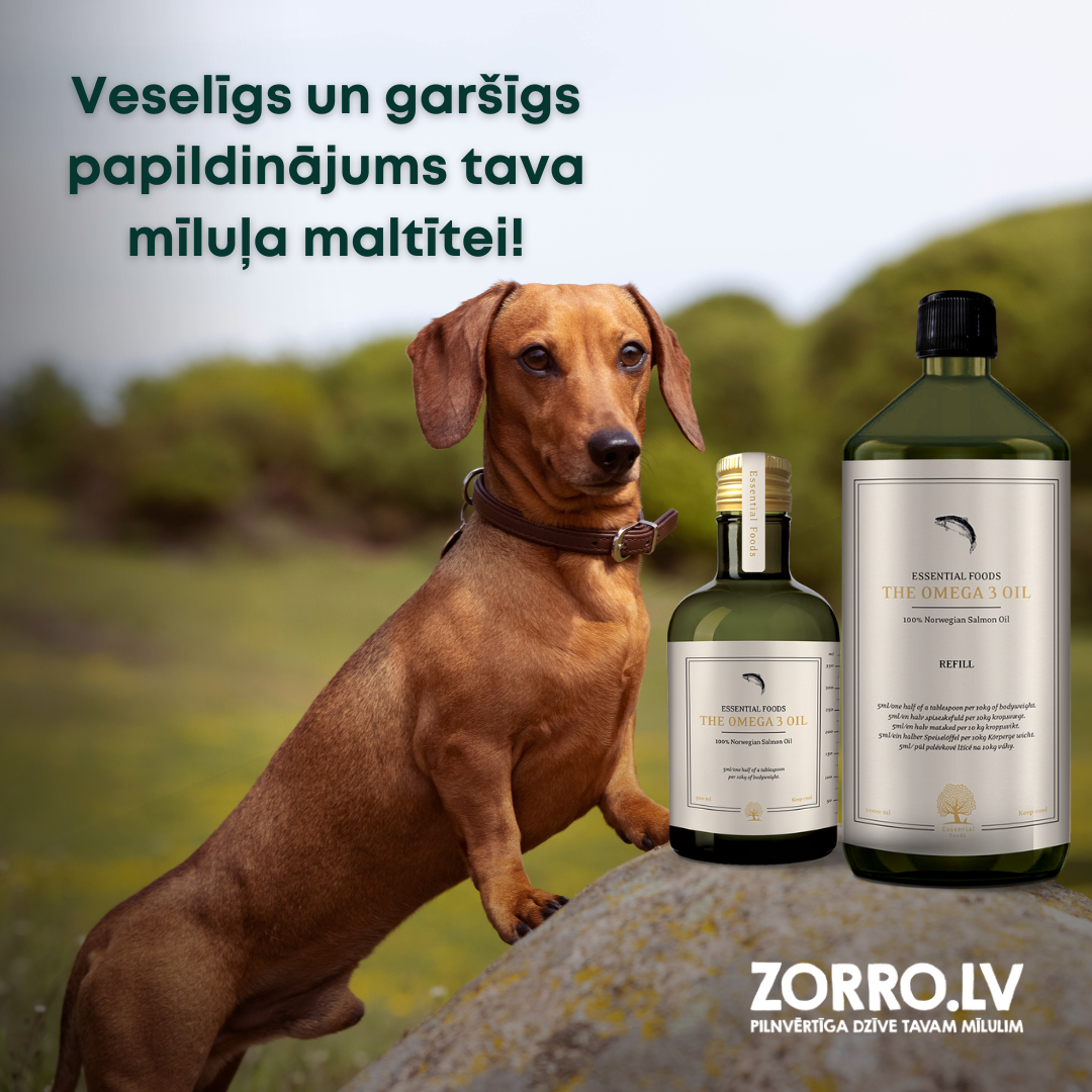 IZCILA laša eļļa no ESSENTIAL FOODS