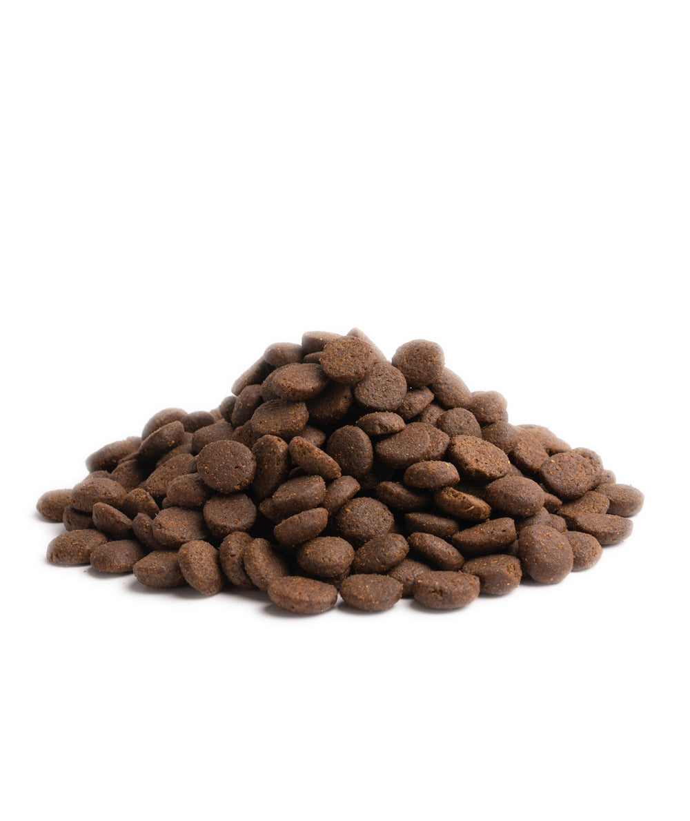80% meat duck, chicken, salmon, trout, eggs Super premium dairy-free feed for adult dogs weighing over 15kg SUPERIOR LIVING