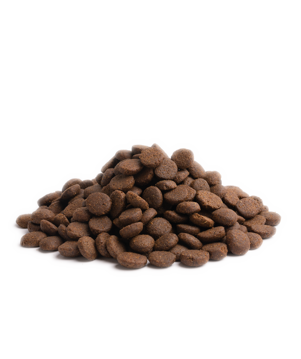 Dairy- free feed BREEDER LIVING with duck, chicken meat and eggs, 12kg