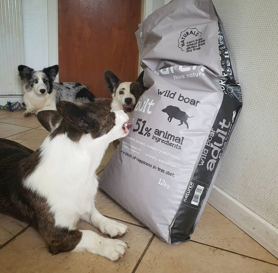 High-quality feed with wild boar meat for adult dogs Naturea Naturals