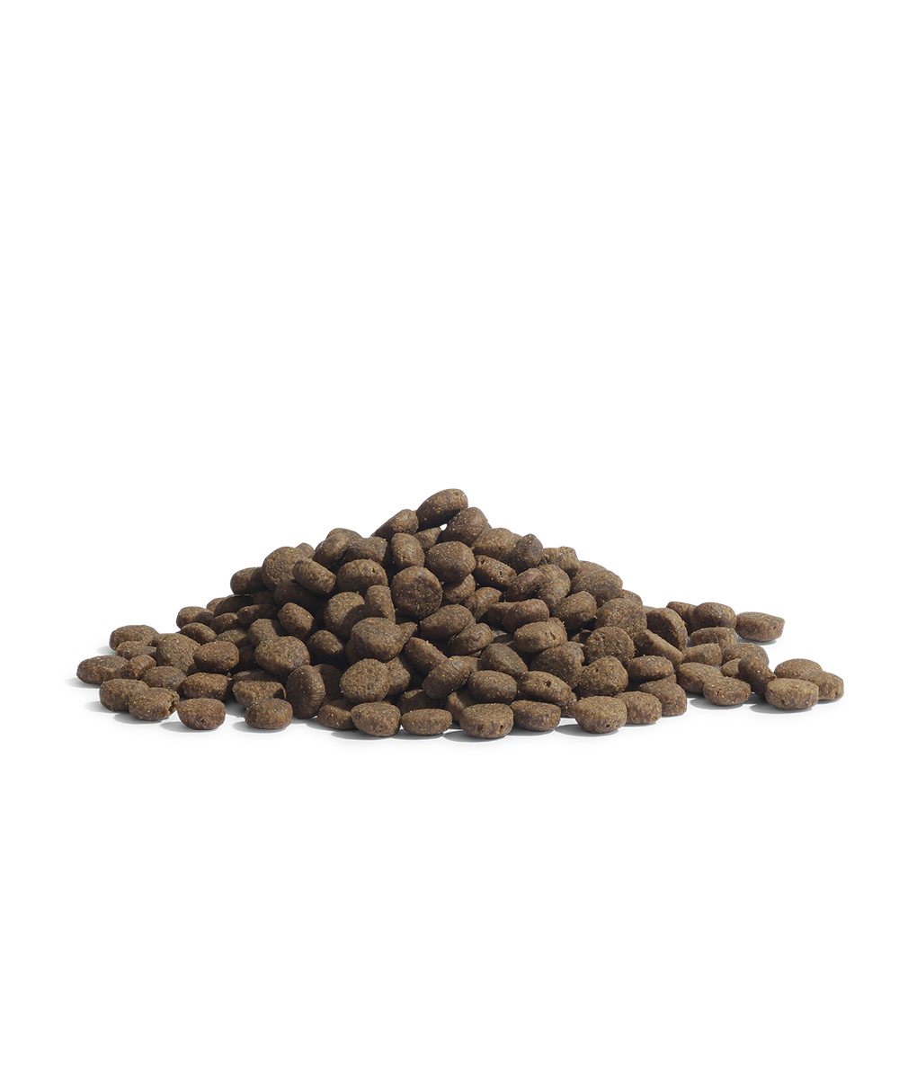 Grainless super premium food for sterilized and overweight cats, seniors, low-active cats THE PANTHER