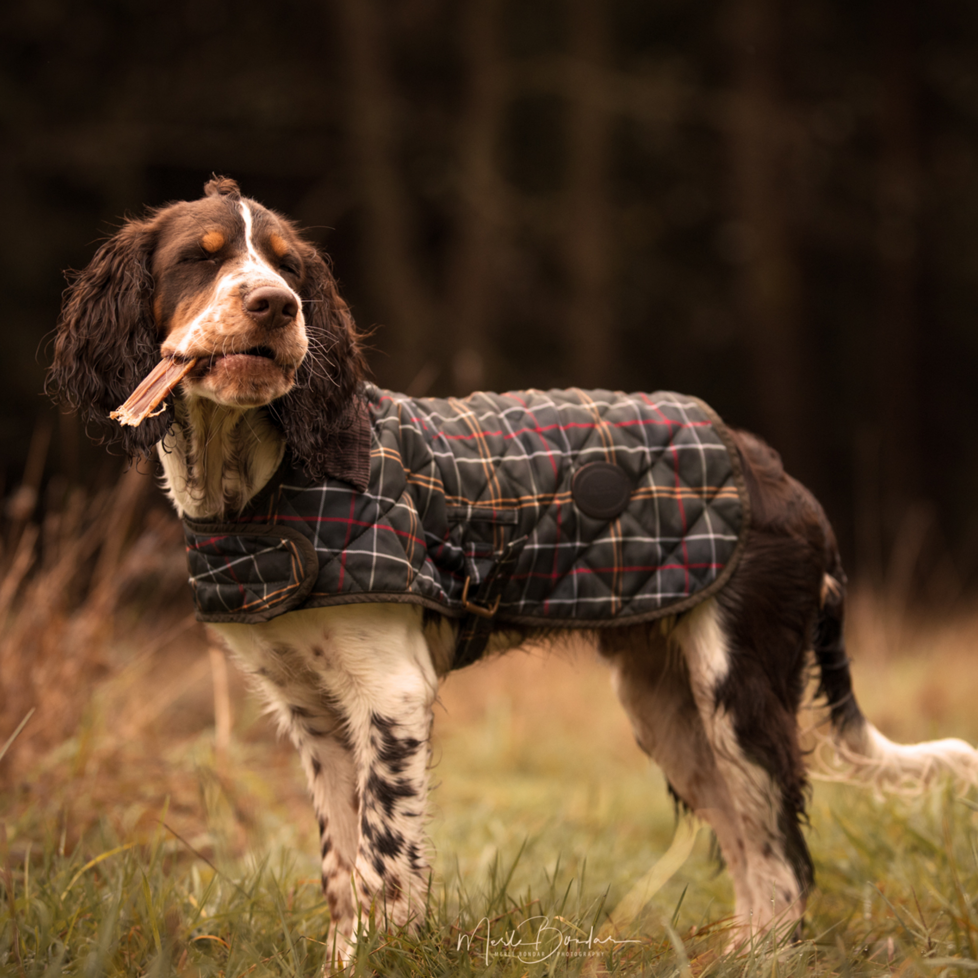 ESSENTIAL Beef treats for dogs DELIGHTS 150 g