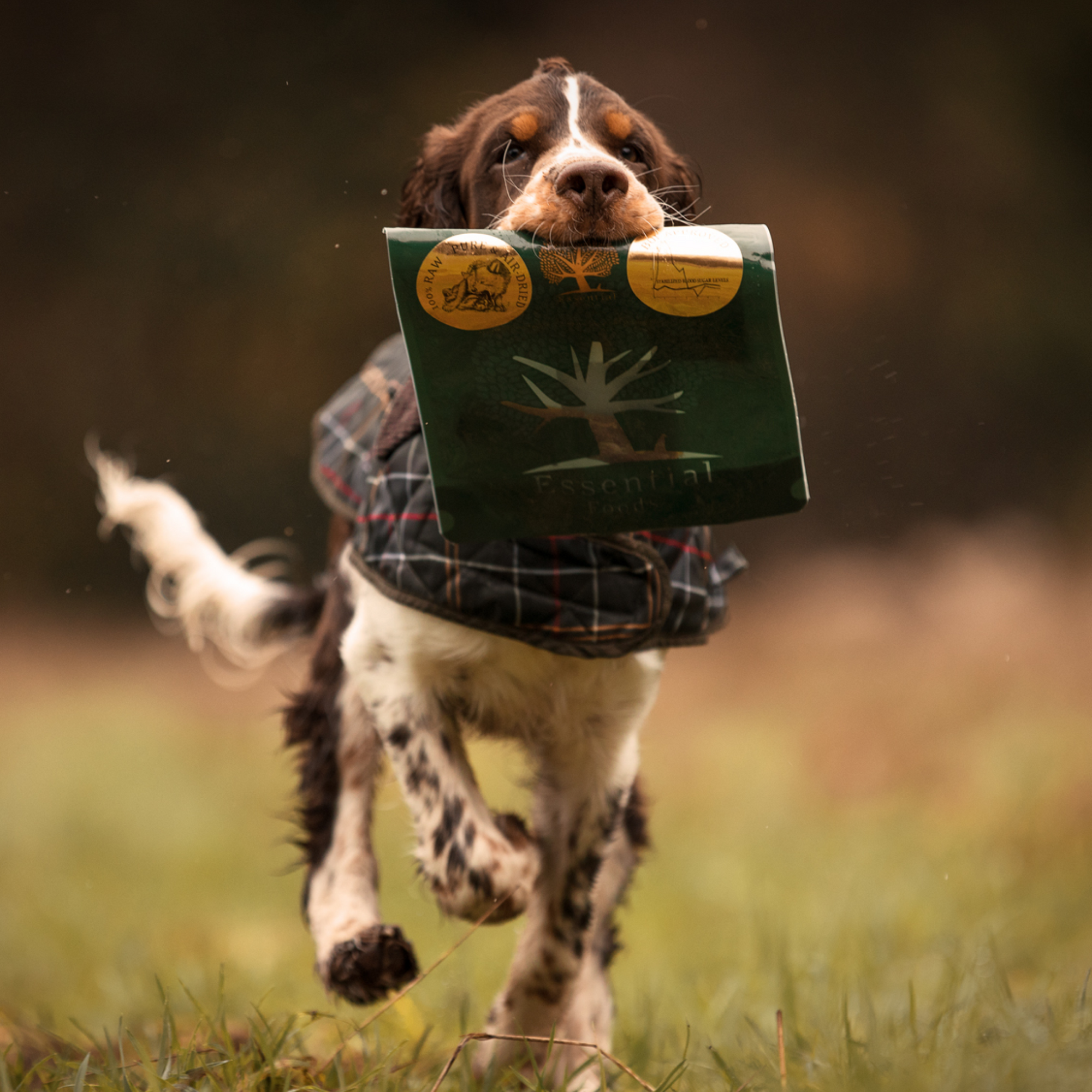 ESSENTIAL Beef treats for dogs DELIGHTS 150 g