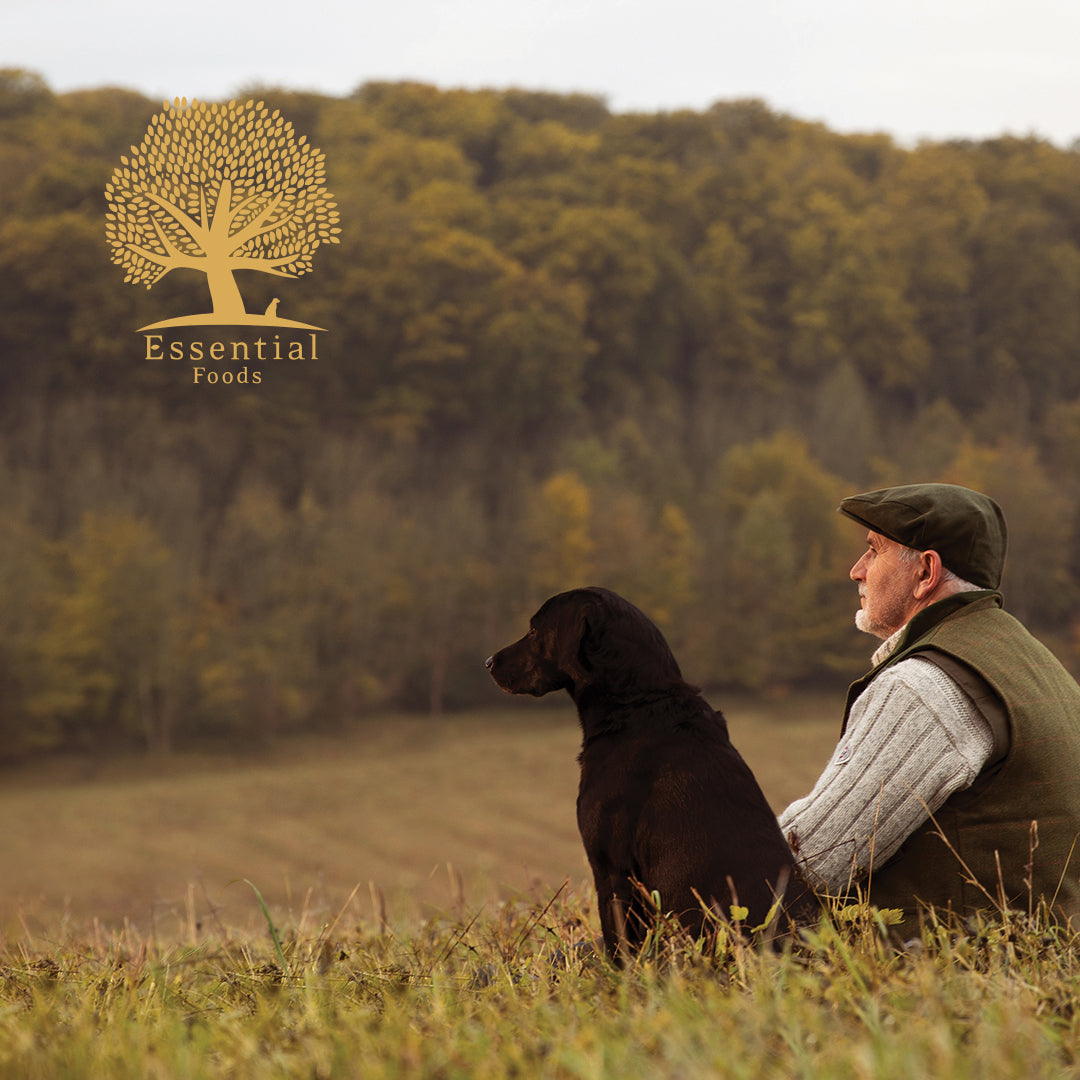 80% meat duck, chicken, salmon, trout, eggs Super premium dairy-free feed for adult dogs weighing over 15kg SUPERIOR LIVING