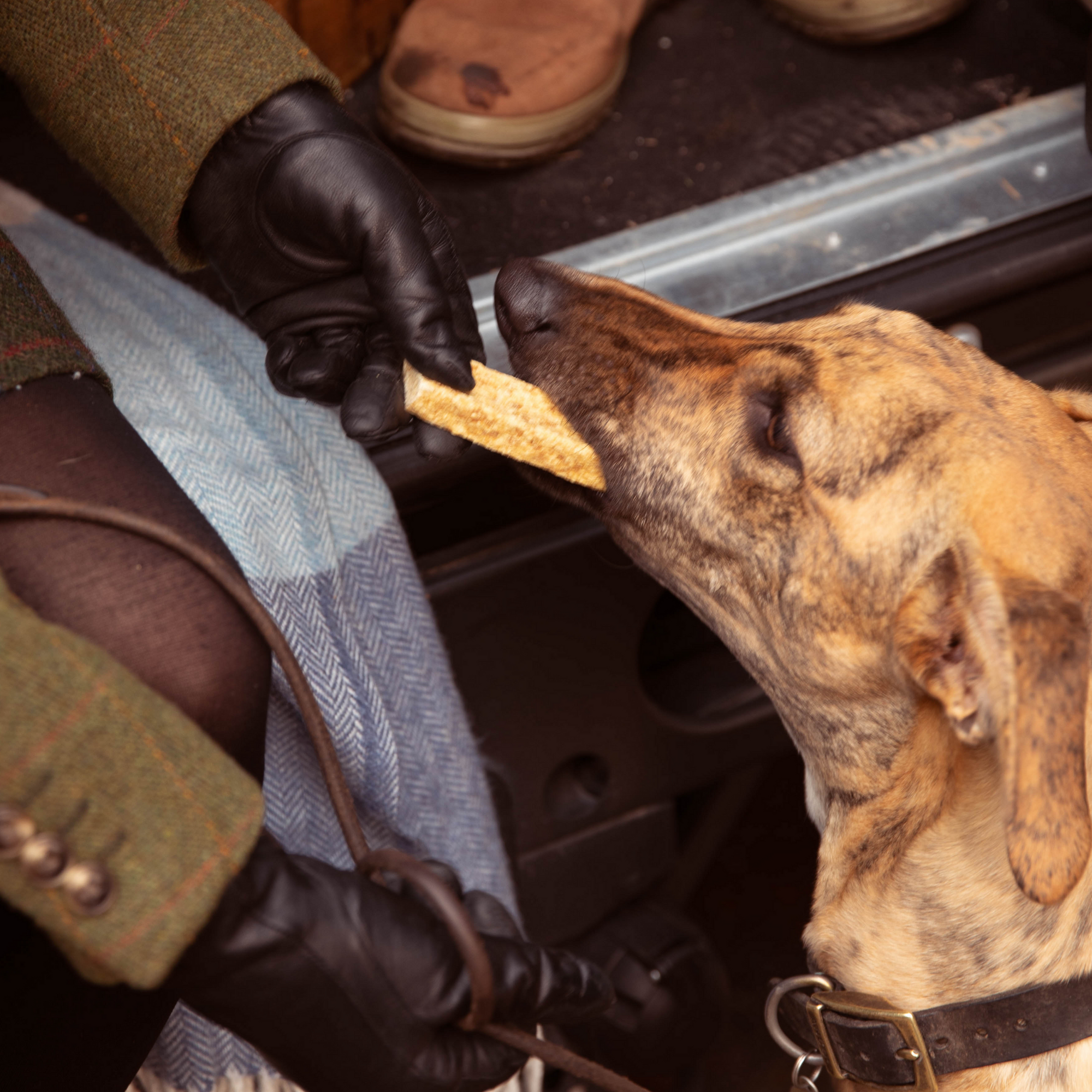 ESSENTIAL Grain-free teeth-cleaning chews
