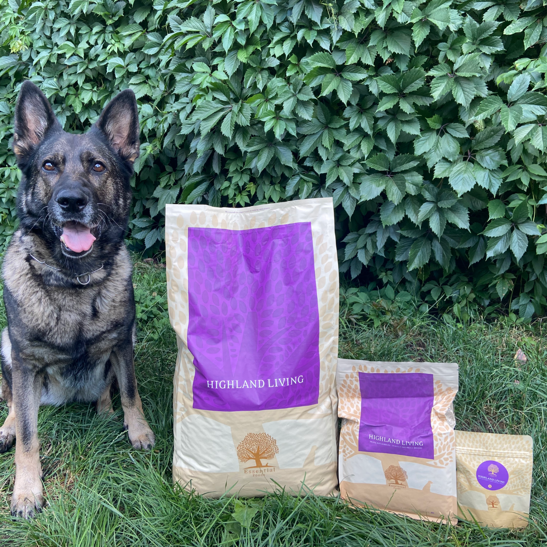 79% meat Norfolk turkey, Angus beef, pheasant, pigeon, duck, salmon, eggs Super premium dairy-free feed for adult dogs of small breeds weighing up to 15kg HIGHLAND LIVING