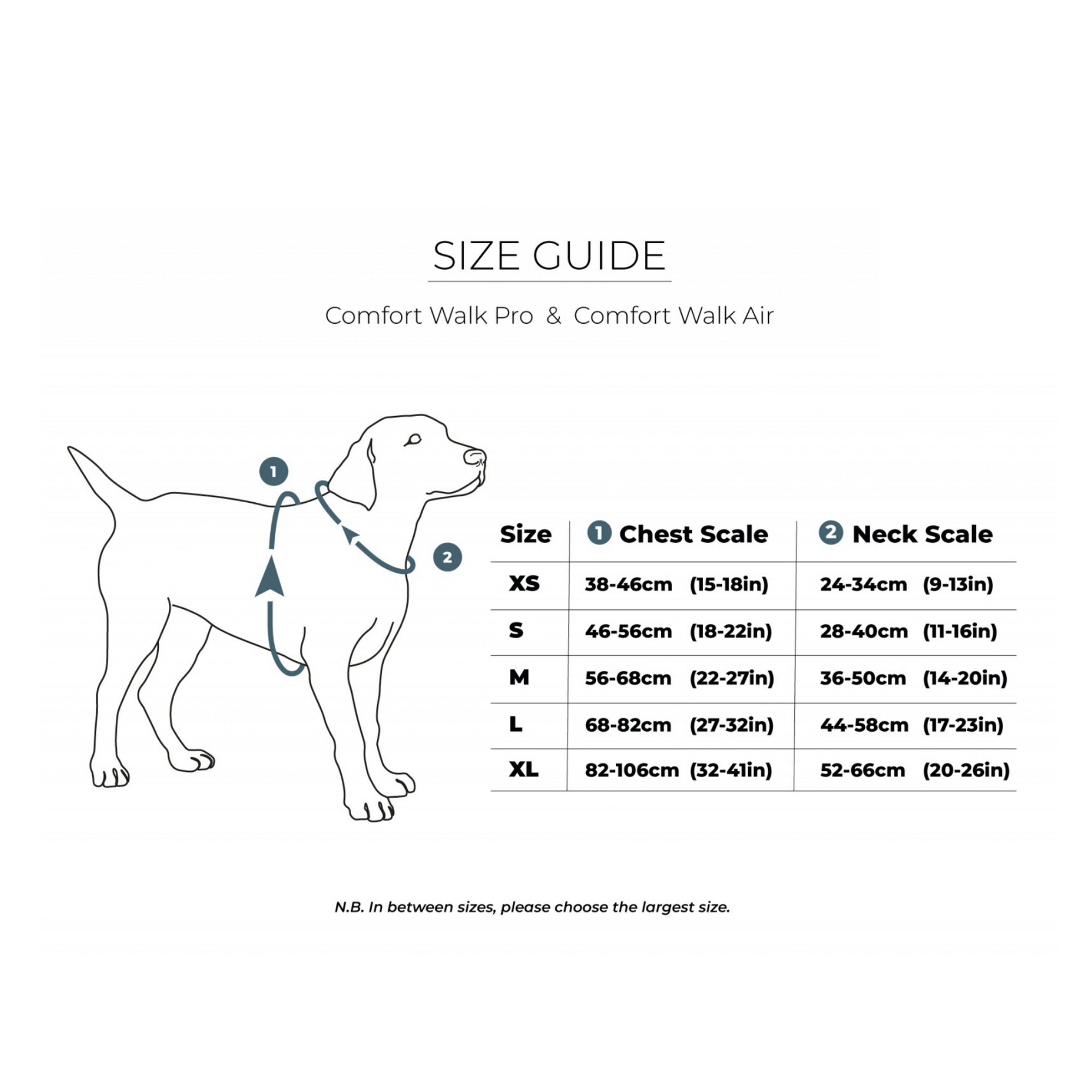 Trained for urban dogs THE DOG