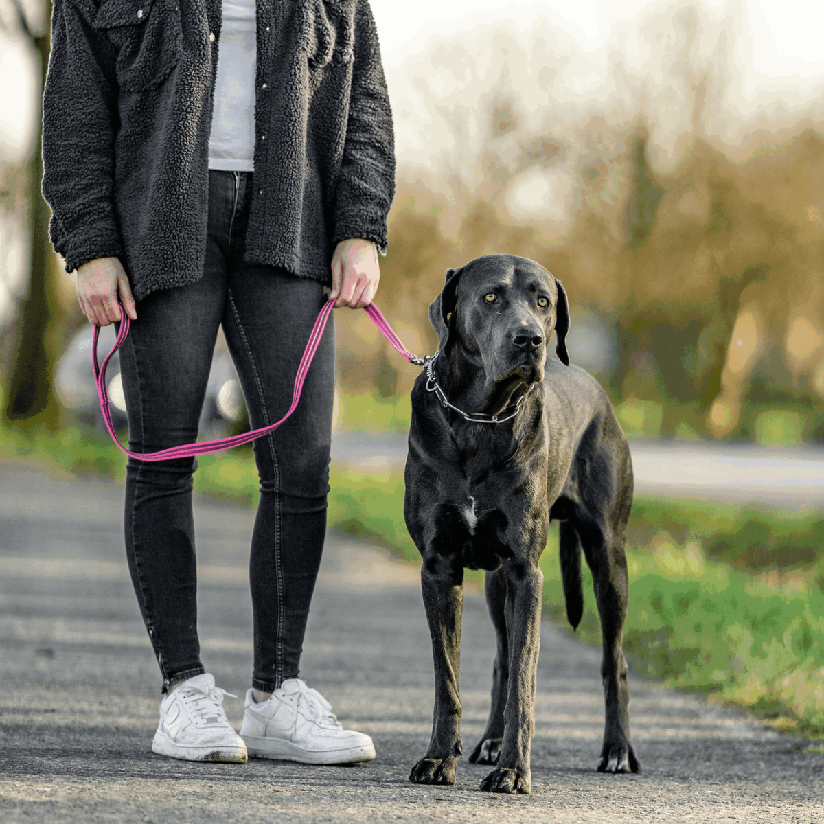Reflective leash Sprenger (Germany)