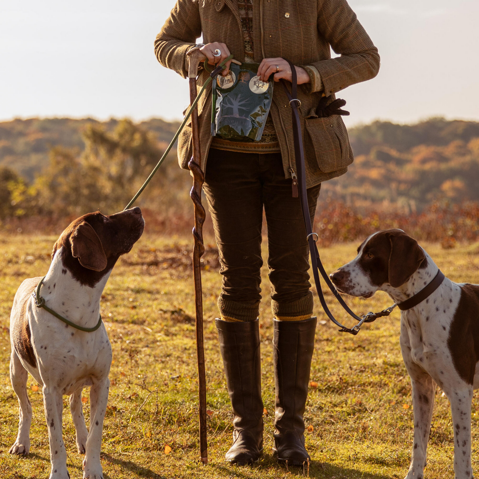 ESSENTIAL Grain-free teeth-cleaning chews