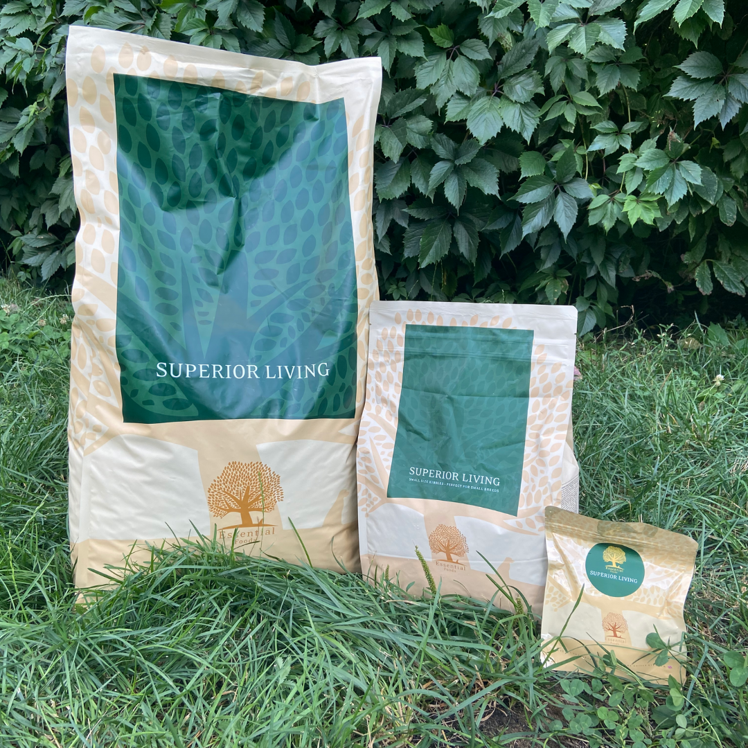80% meat duck, chicken, salmon, trout, eggs Super premium grainless feed for adult dogs of small breeds weighing up to 15kg SUPERIOR LIVING