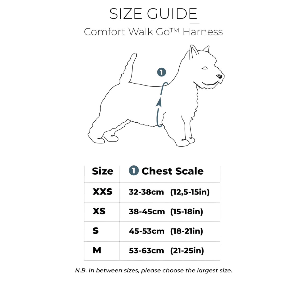 "Walk Go" - Teach your dog to go on walks.