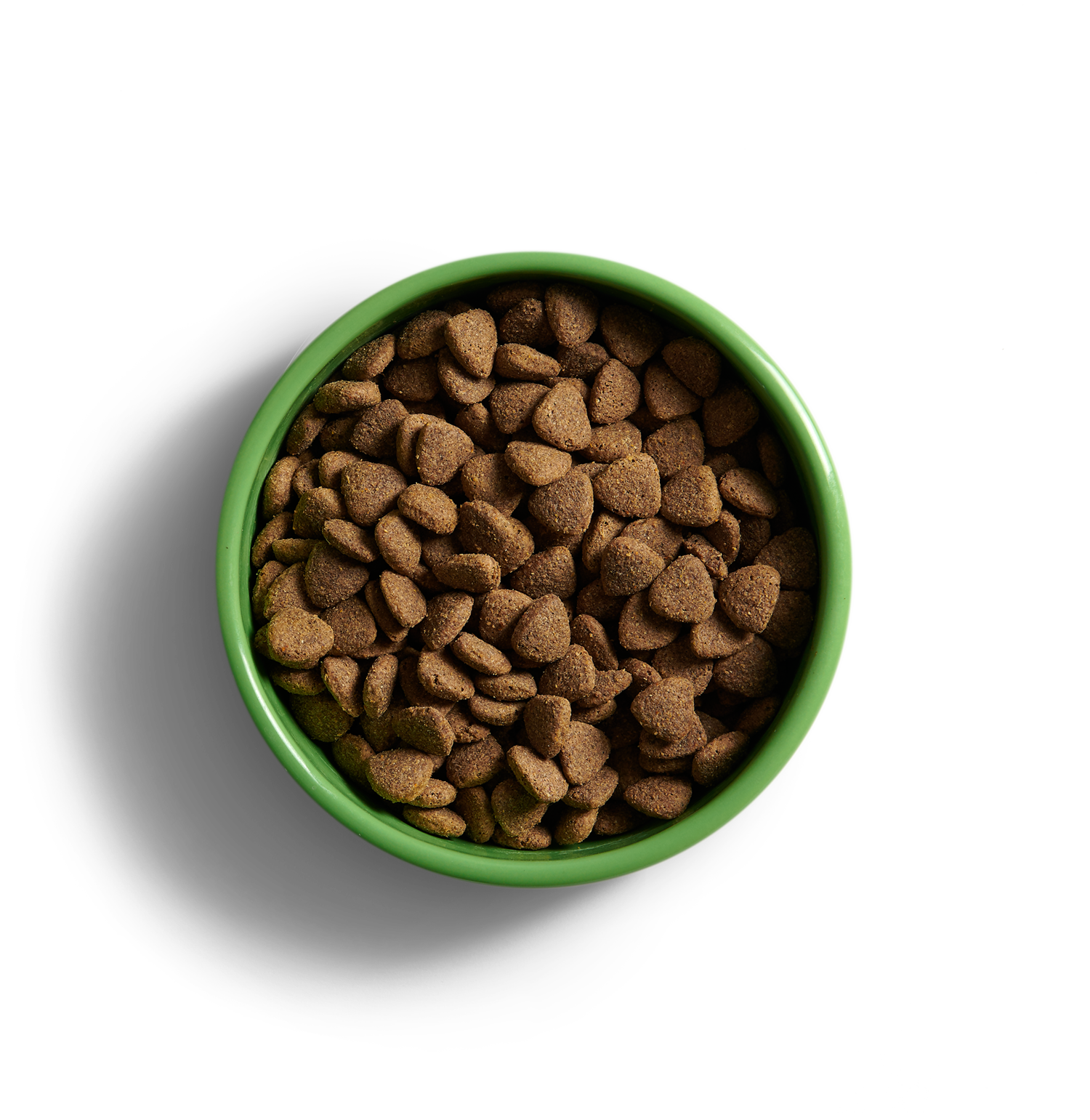 YORA insect superfood for adult dogs of large breeds LARGE BREEDS