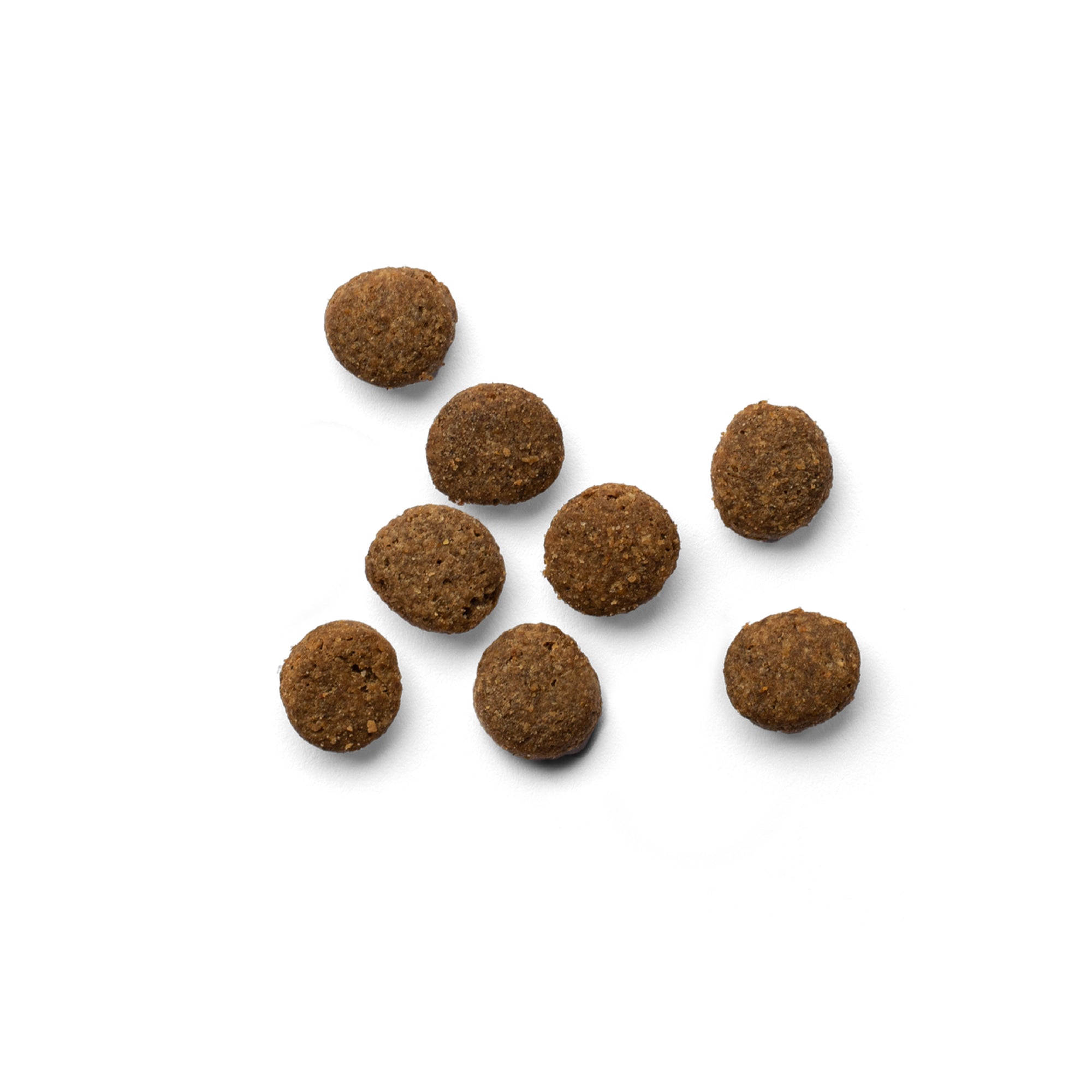 YORA insect (insect) super food for adult cats COMPLETE ADULT