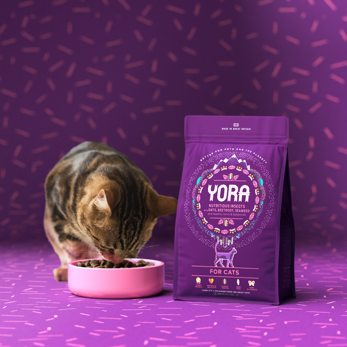 YORA insect (insect) super food for adult cats COMPLETE ADULT
