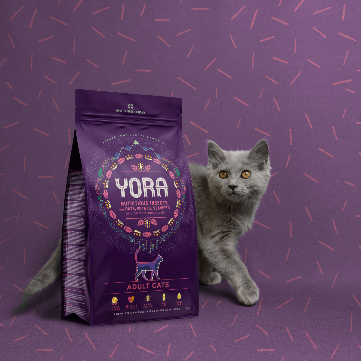 YORA insect (insect) super food for adult cats COMPLETE ADULT