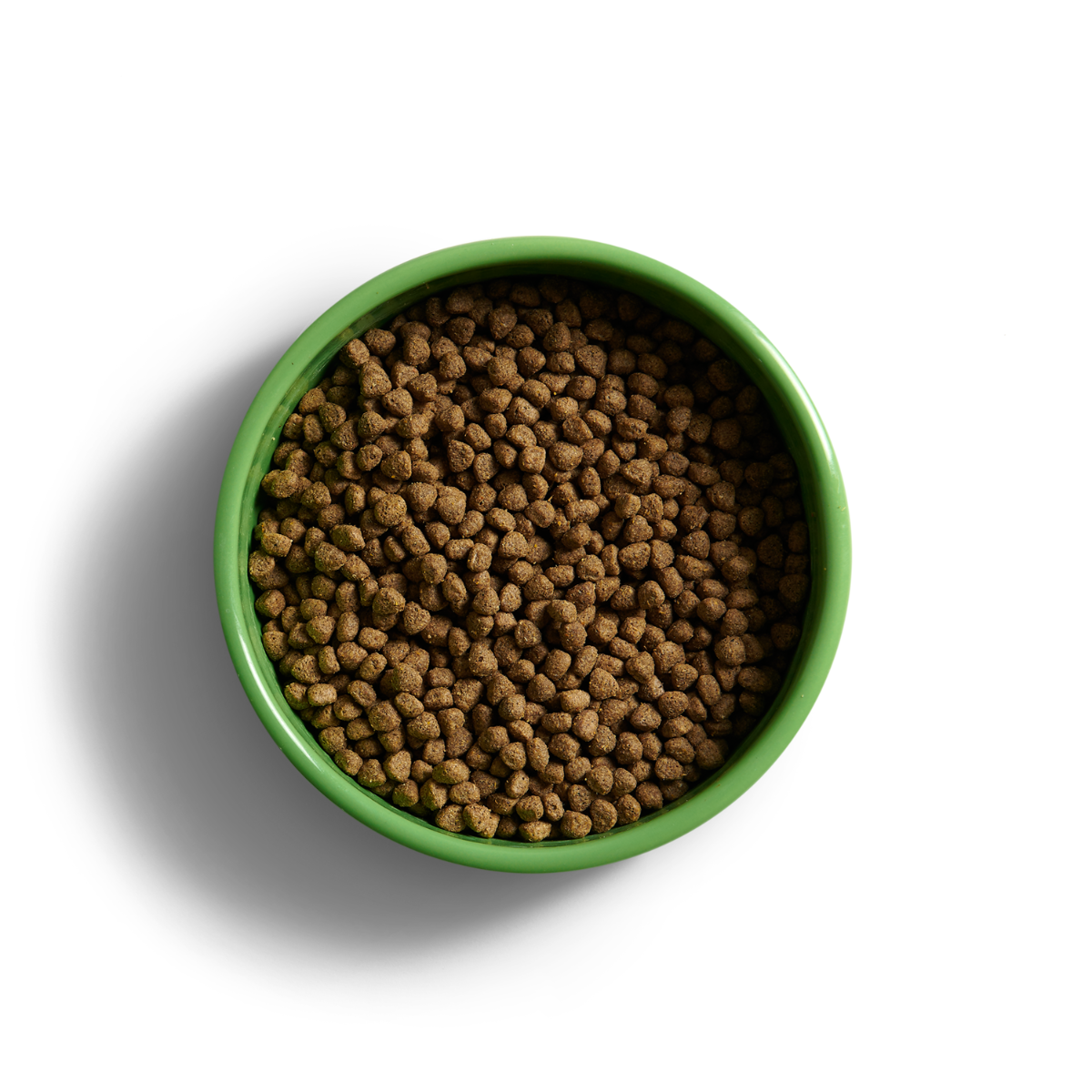 YORA insect super food for puppies PUPPY