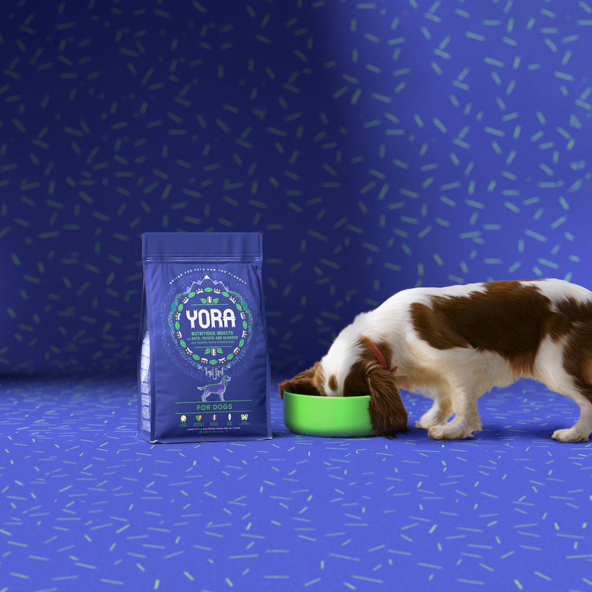 YORA insect super food for small breed dogs SMALL BREEDS COMPLETE