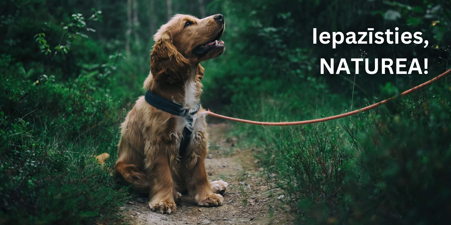 NATUREA - augstākā kvalitāte par labu cenu!