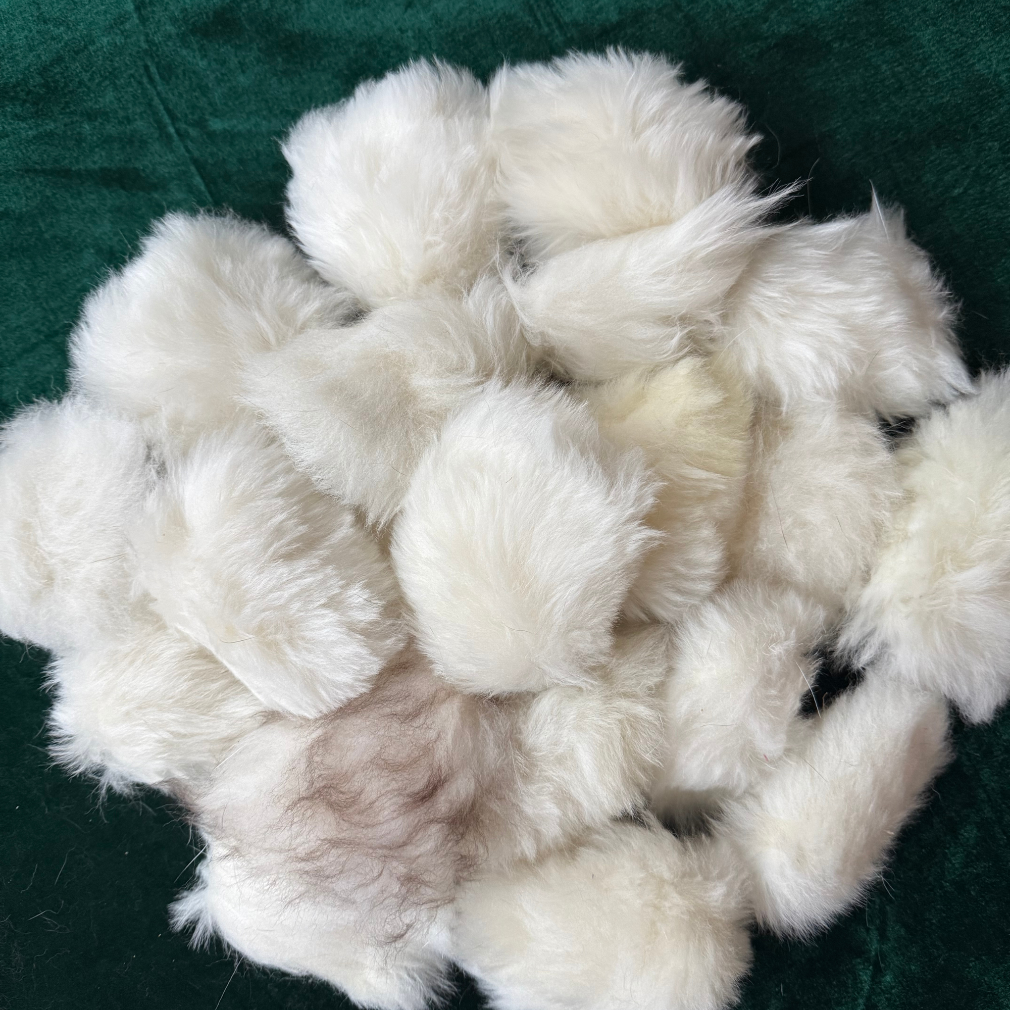 Rotaļlietas kaķiem no dabīgas truša ādas, aitas un kazas