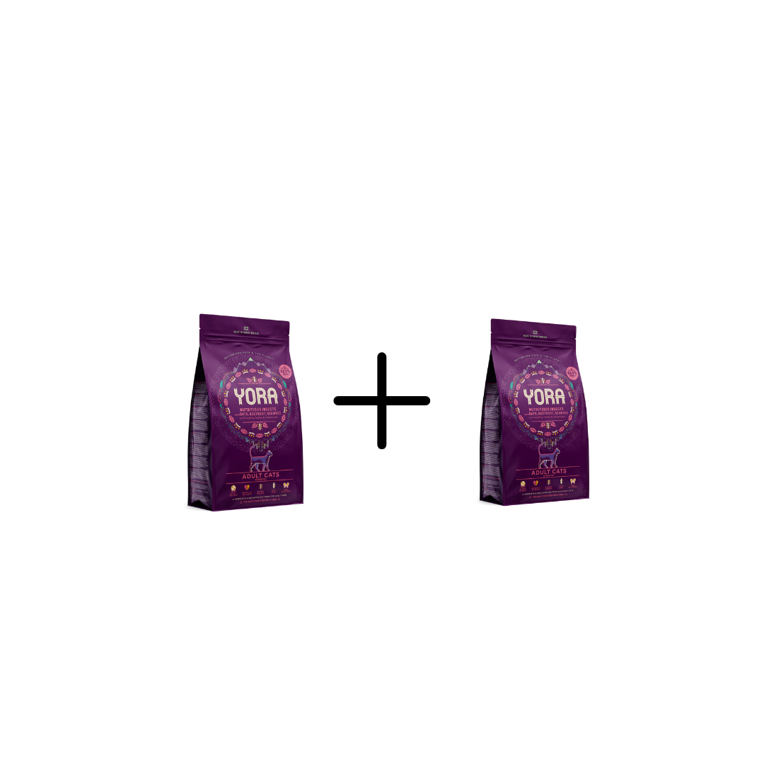 YORA insect (insect) super food for adult cats COMPLETE ADULT
