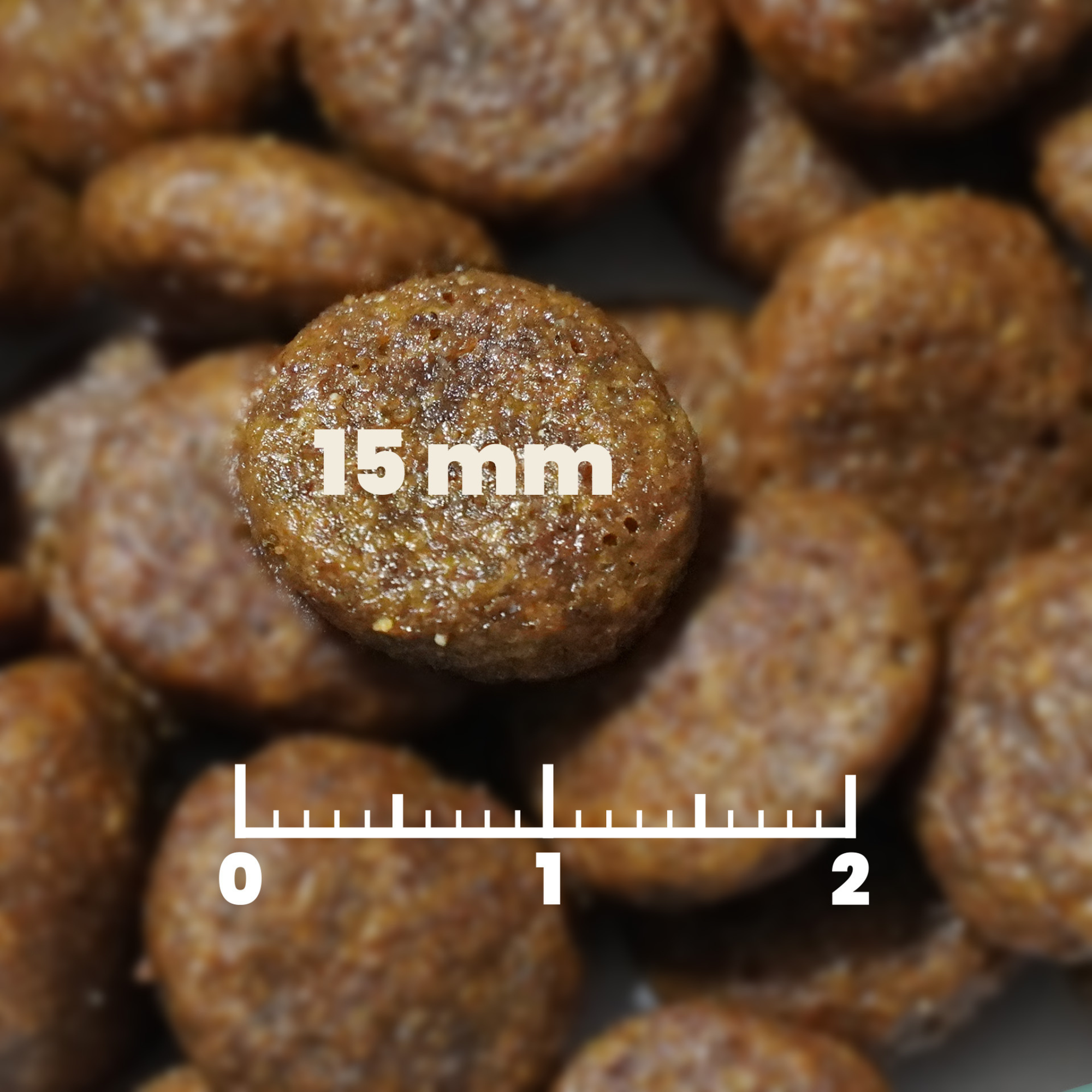 Leitwolf hipoalerģiska bezgraudu barība pieaugušiem suņiem ar jēra gaļu