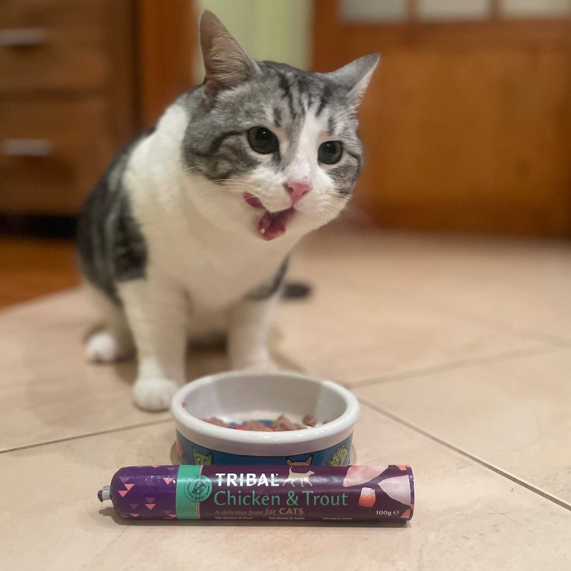 Svaigas vistas gaļas un foreles desa 100g