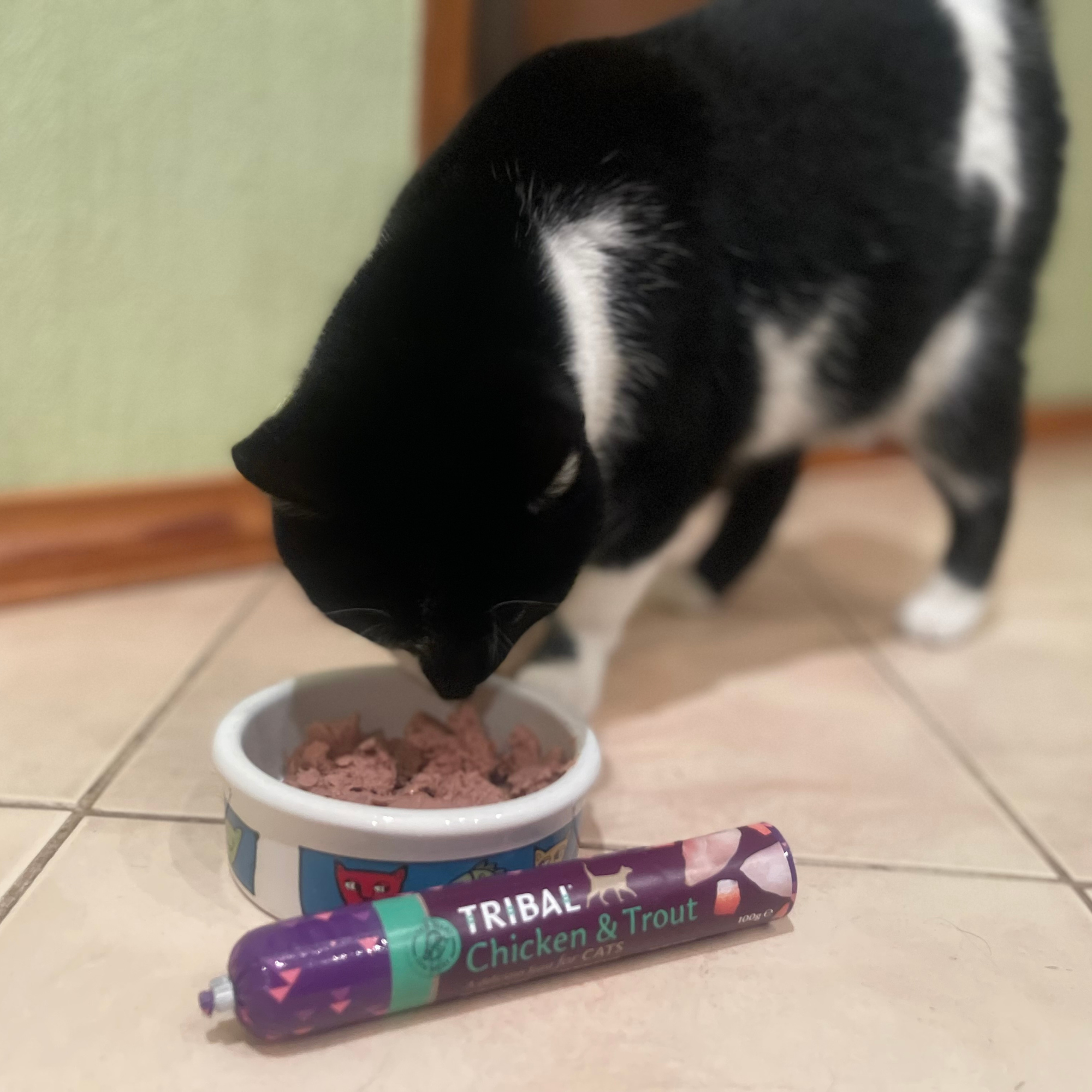 Svaigas vistas gaļas un foreles desa 100g