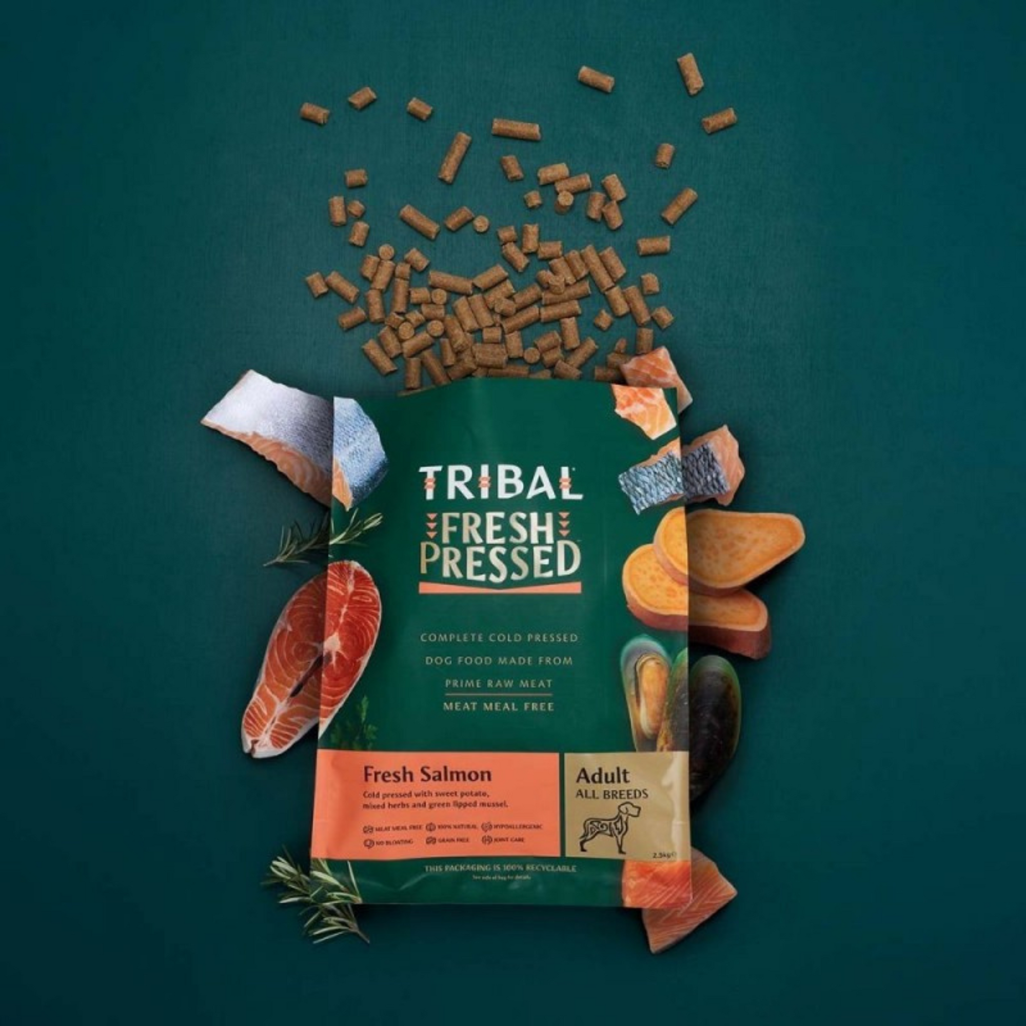Svaigi spiesta bezgraudu barība ar lasi Fresh pressed