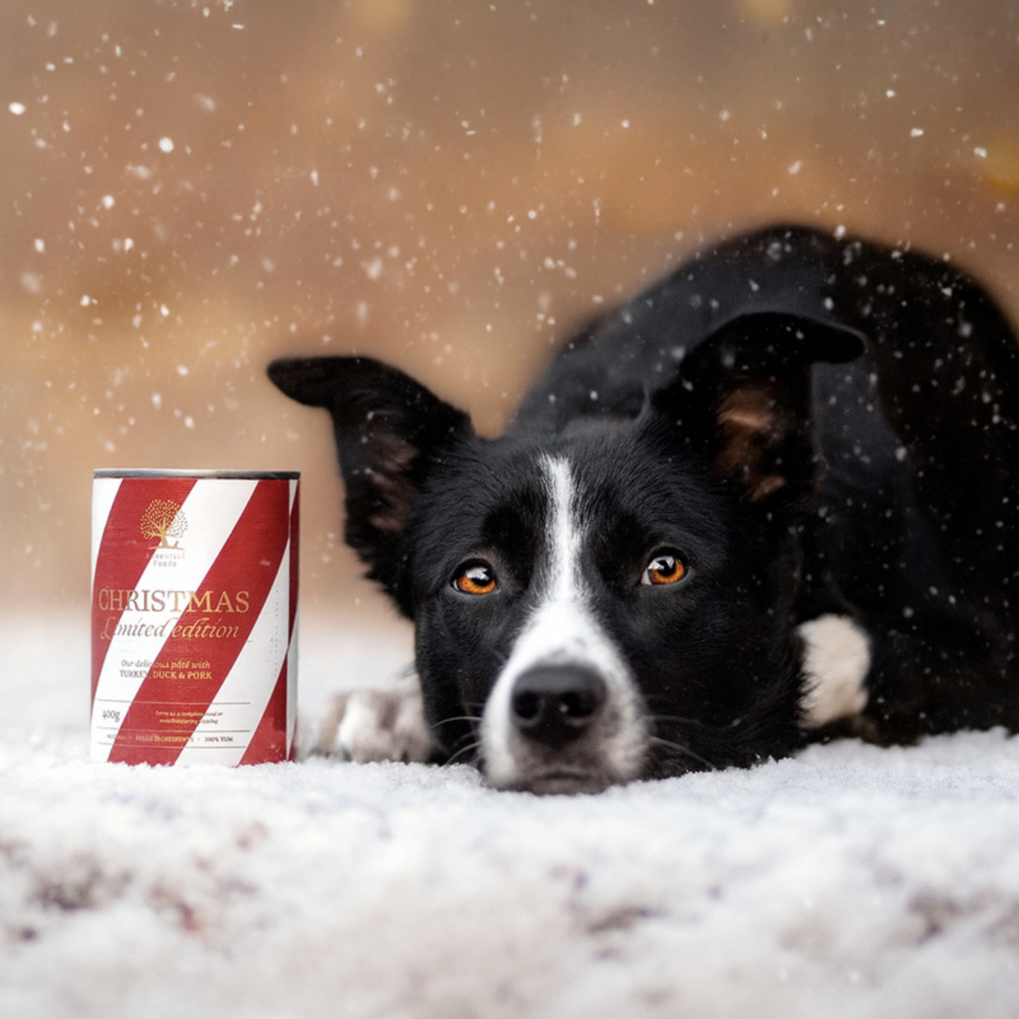 ESSENTIAL Ziemassvētku konservs suņiem 400g