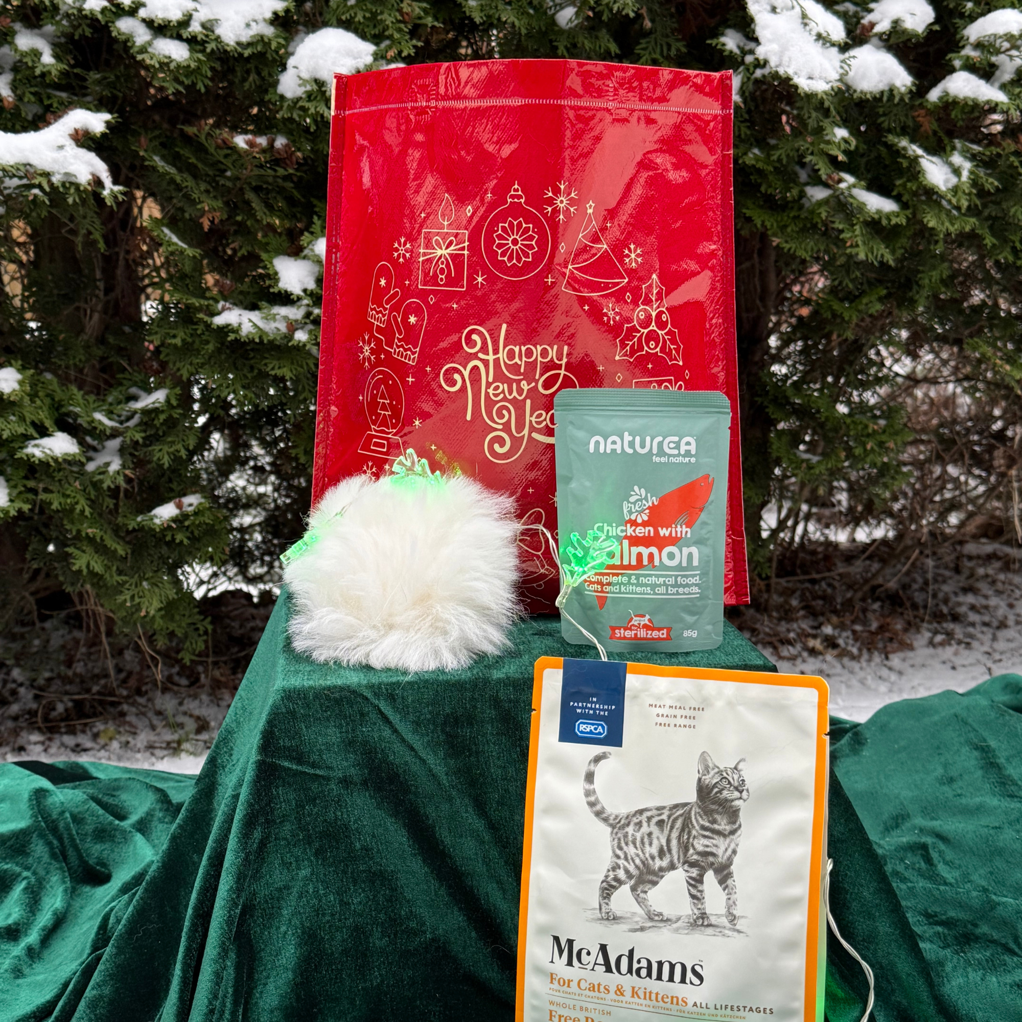 Zorro.lv Ziemassvētku dāvana kaķiem