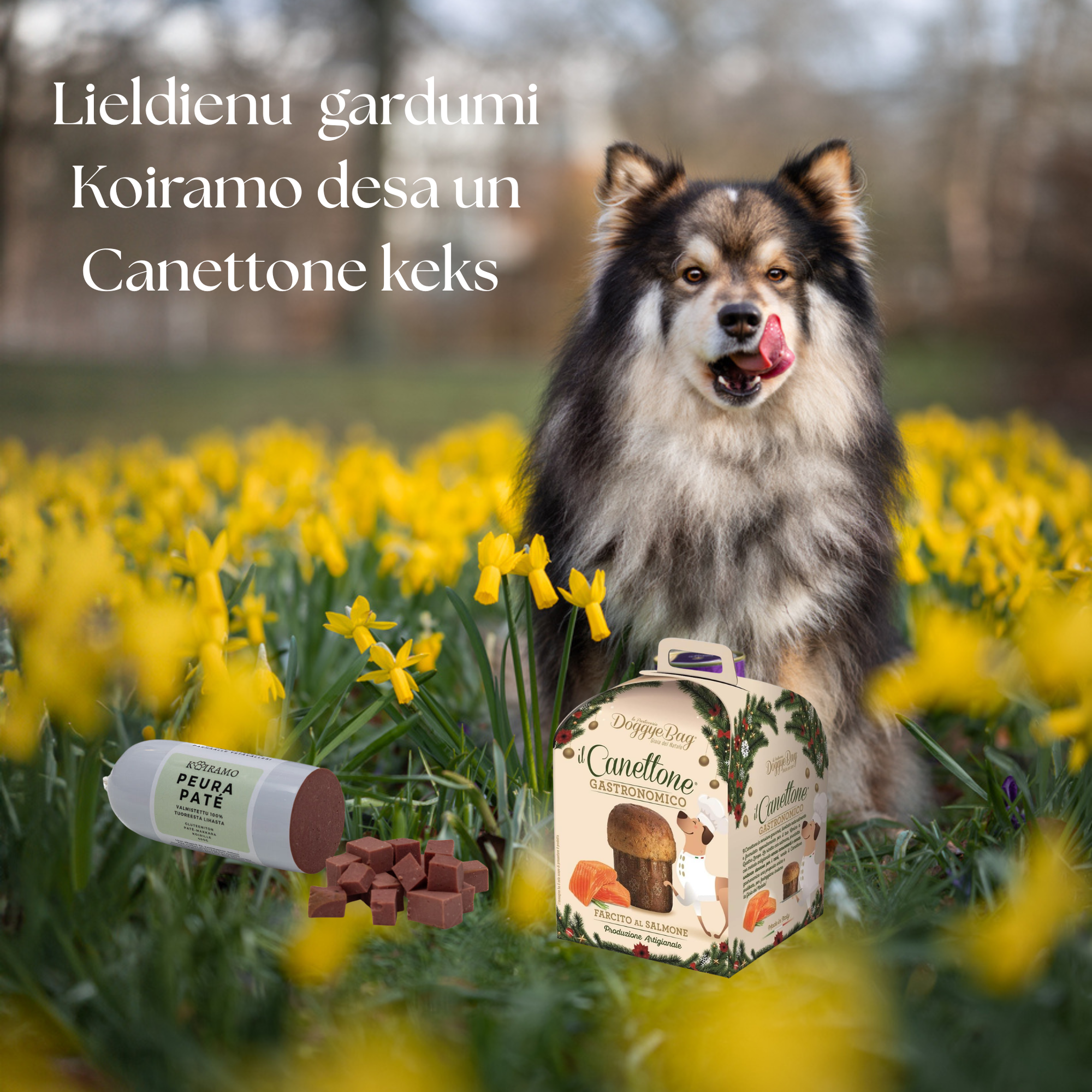 Lieldienu gardumu komplekts