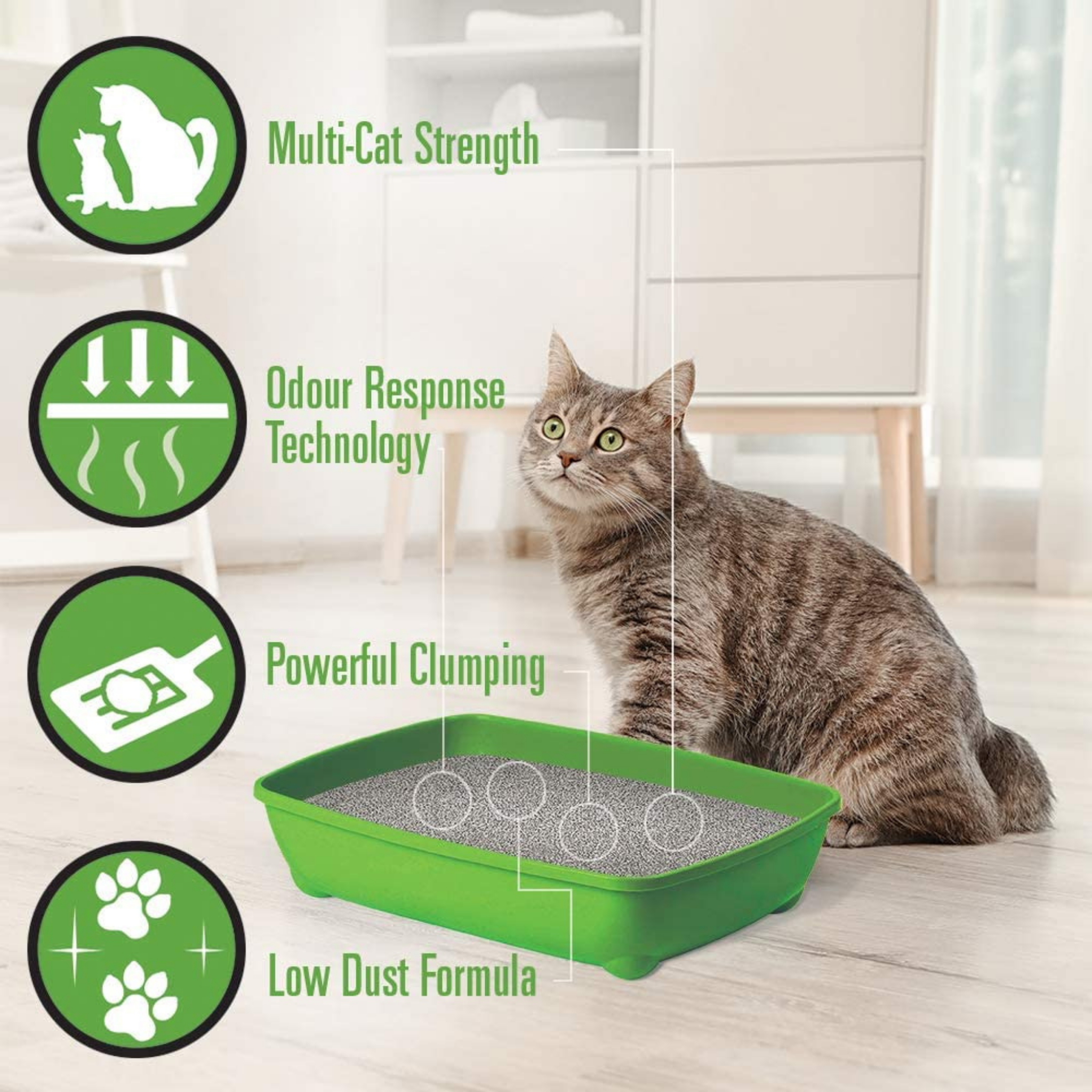 Cat litter Simplicity plus Zorro.lv