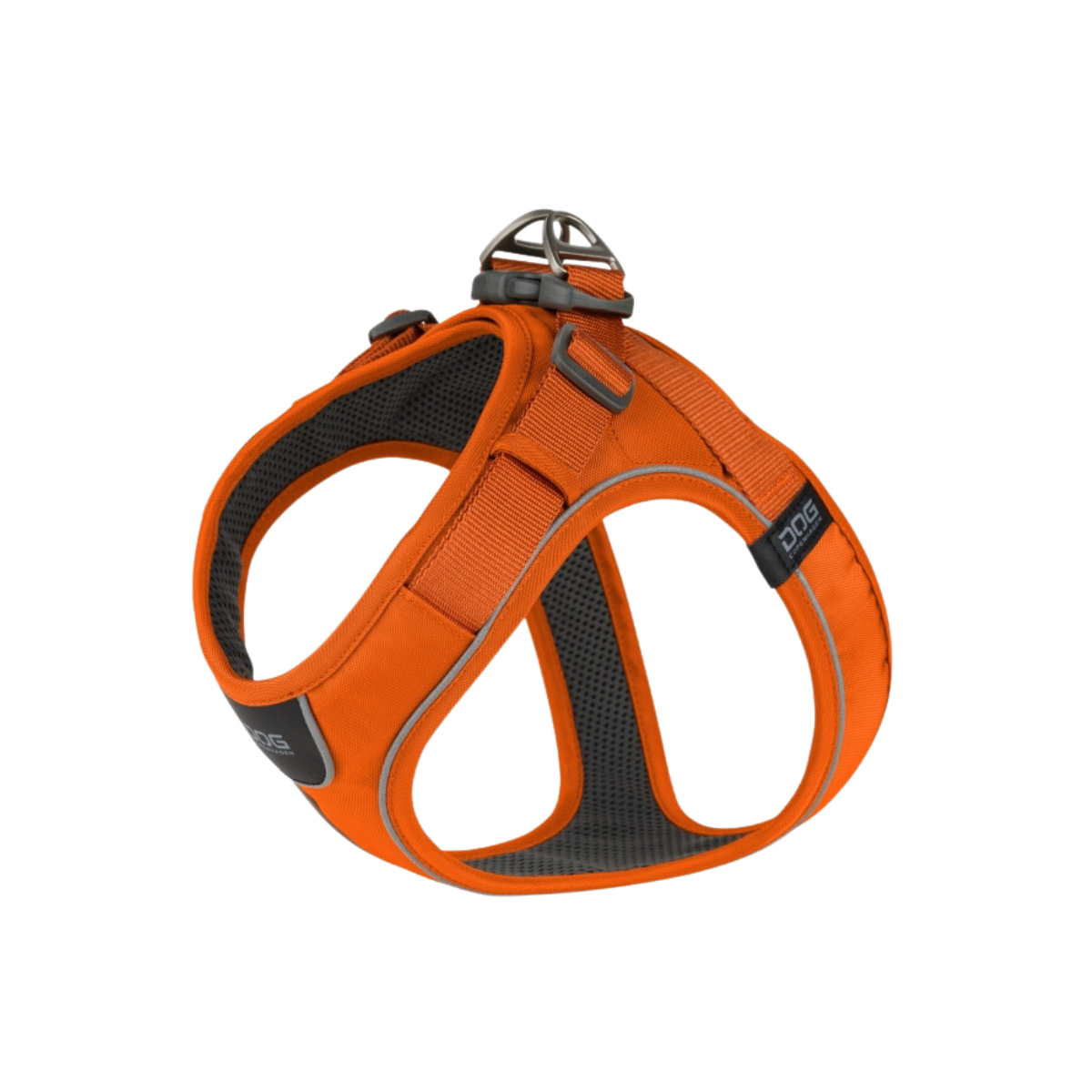 "Walk Go" - Teach your dog to go on walks.
