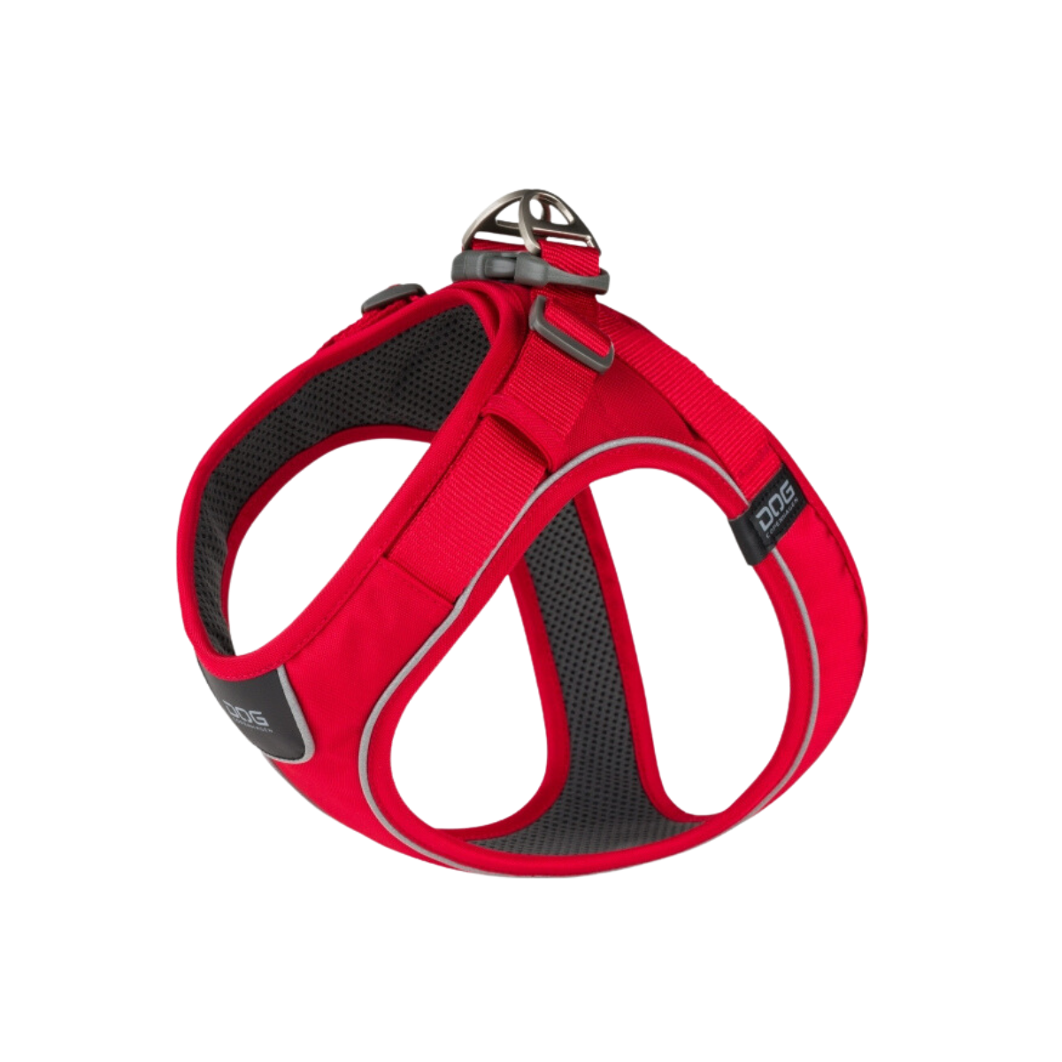"Walk Go" - Teach your dog to go on walks.