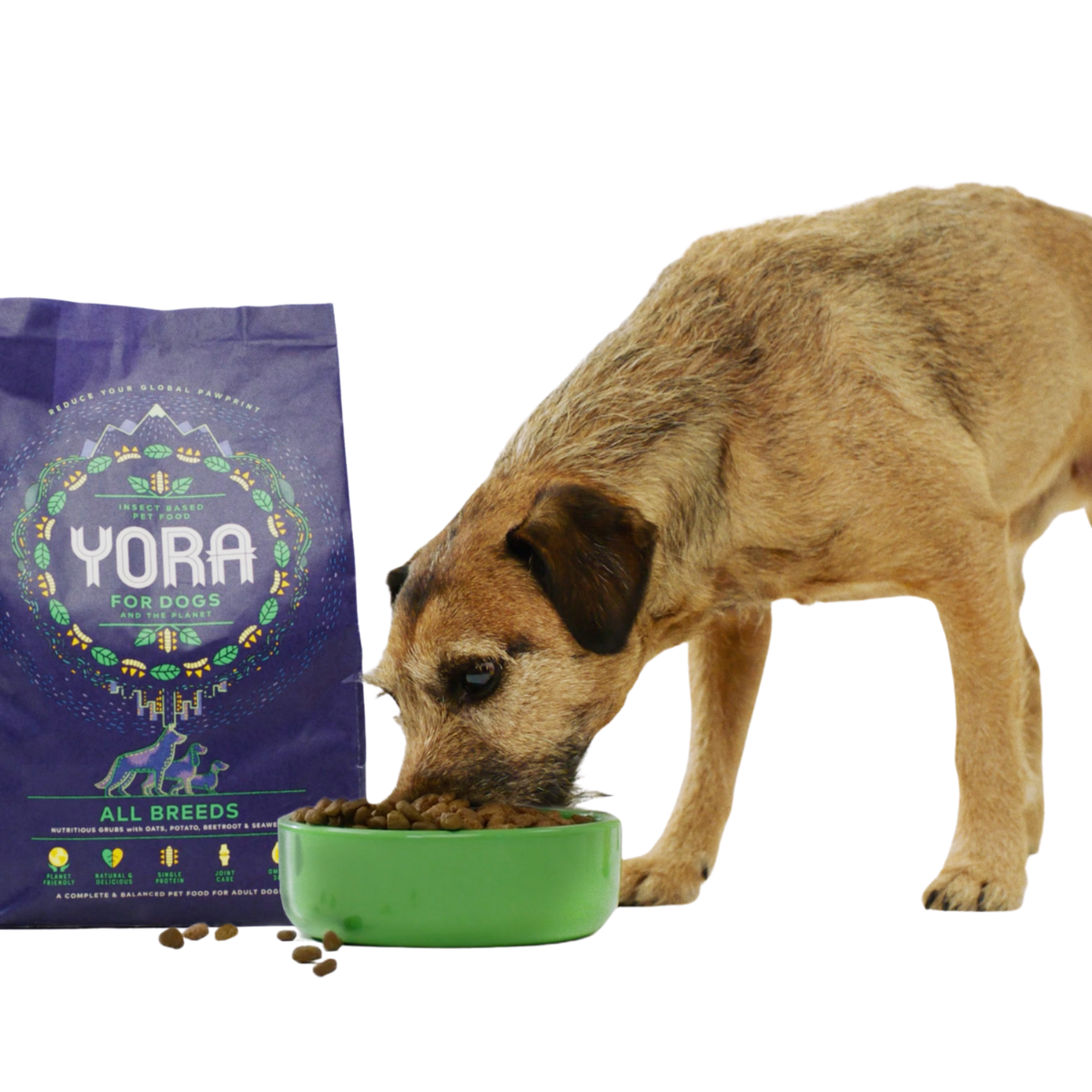 Суперкорм YORA для взрослых собак всех пород с насекомыми